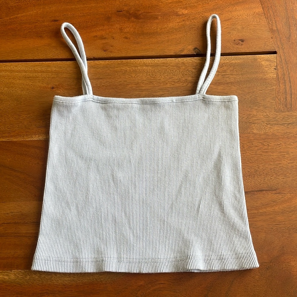 Brandy Melville Blue Cropped Tank